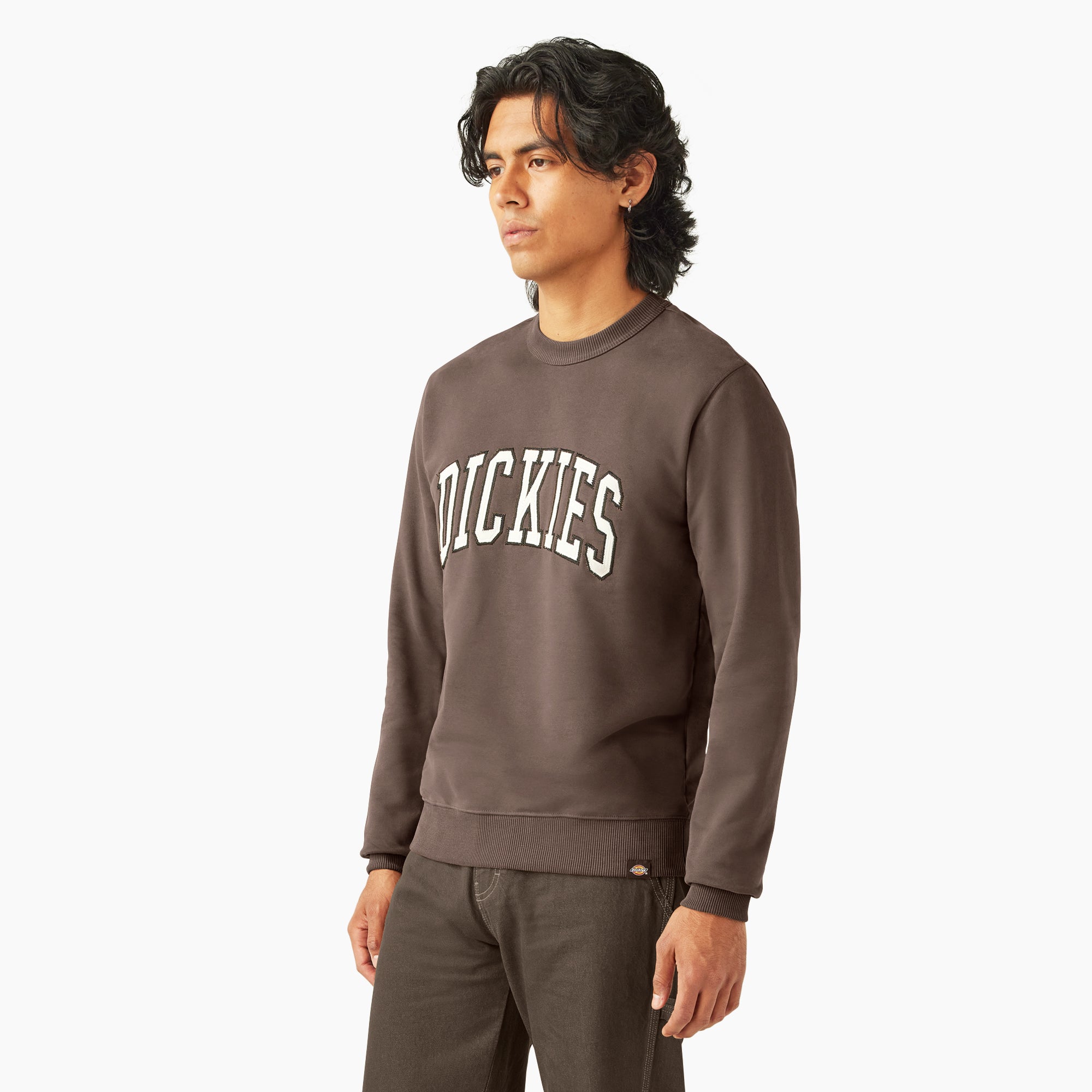 Aitkin Sweatshirt | Dickies US