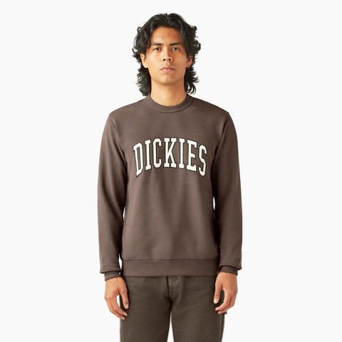 Aitkin Sweatshirt | Dickies US