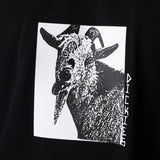 DK0A8672BLK-A8