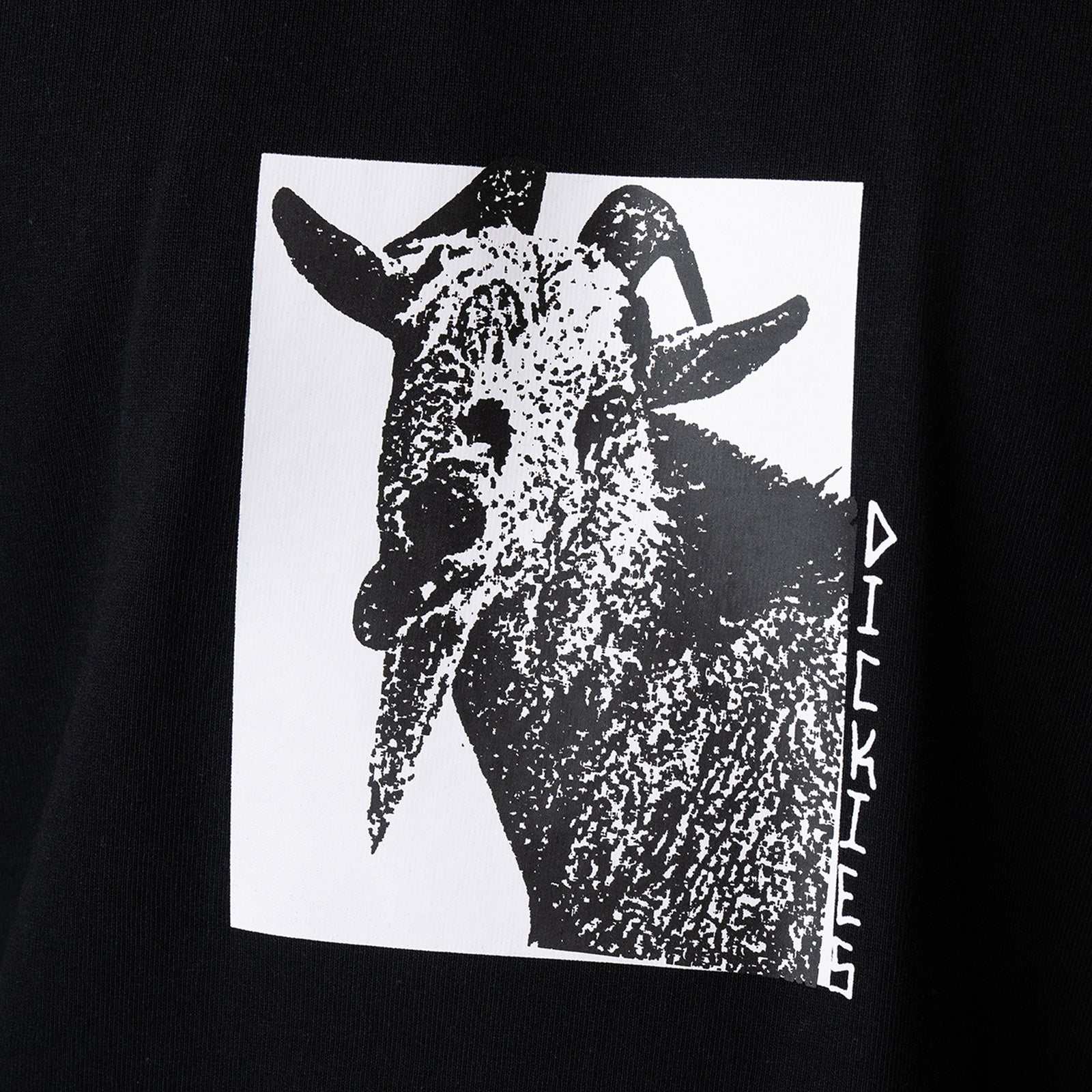DK0A8672BLK-A8