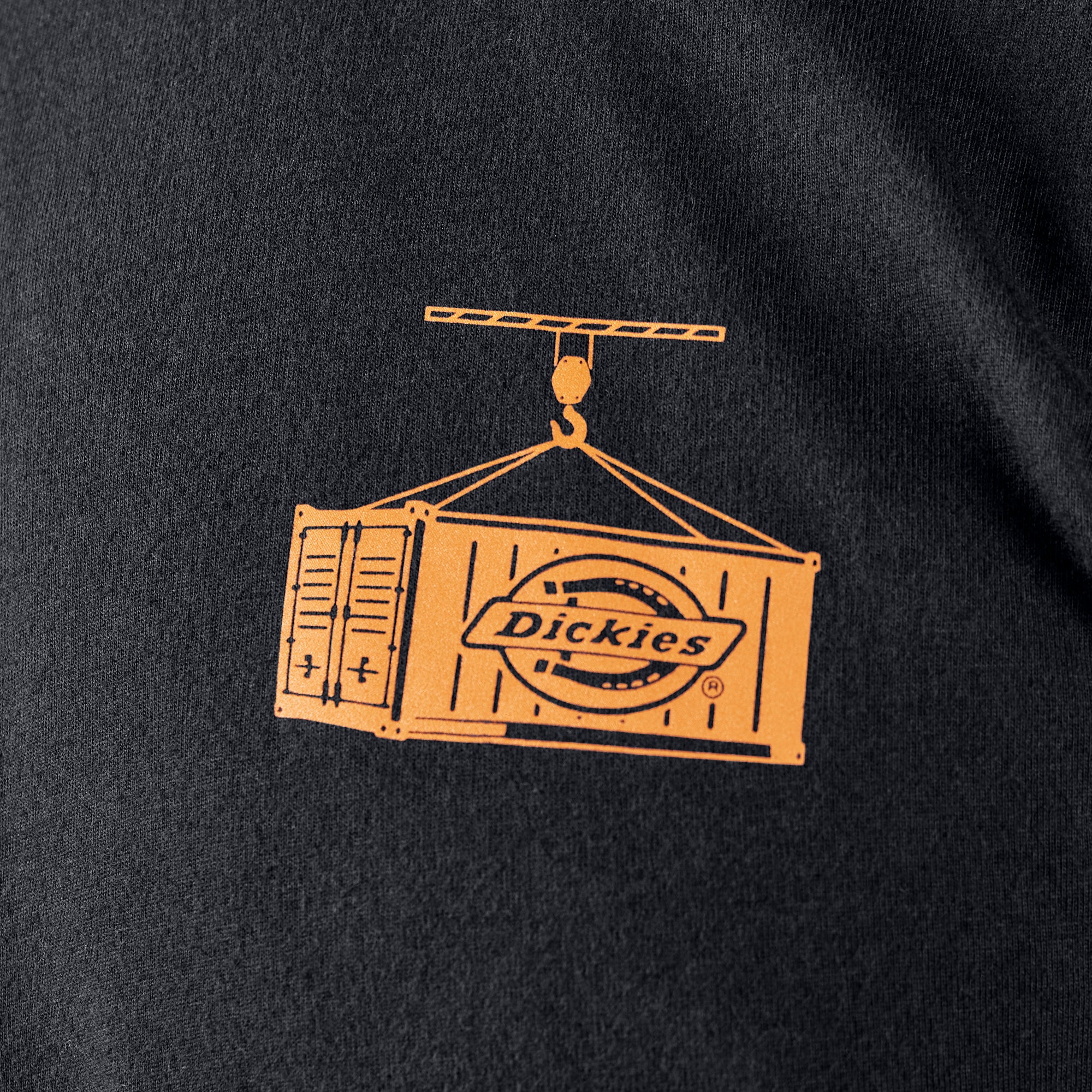Apison Graphic T-Shirt | Dickies US