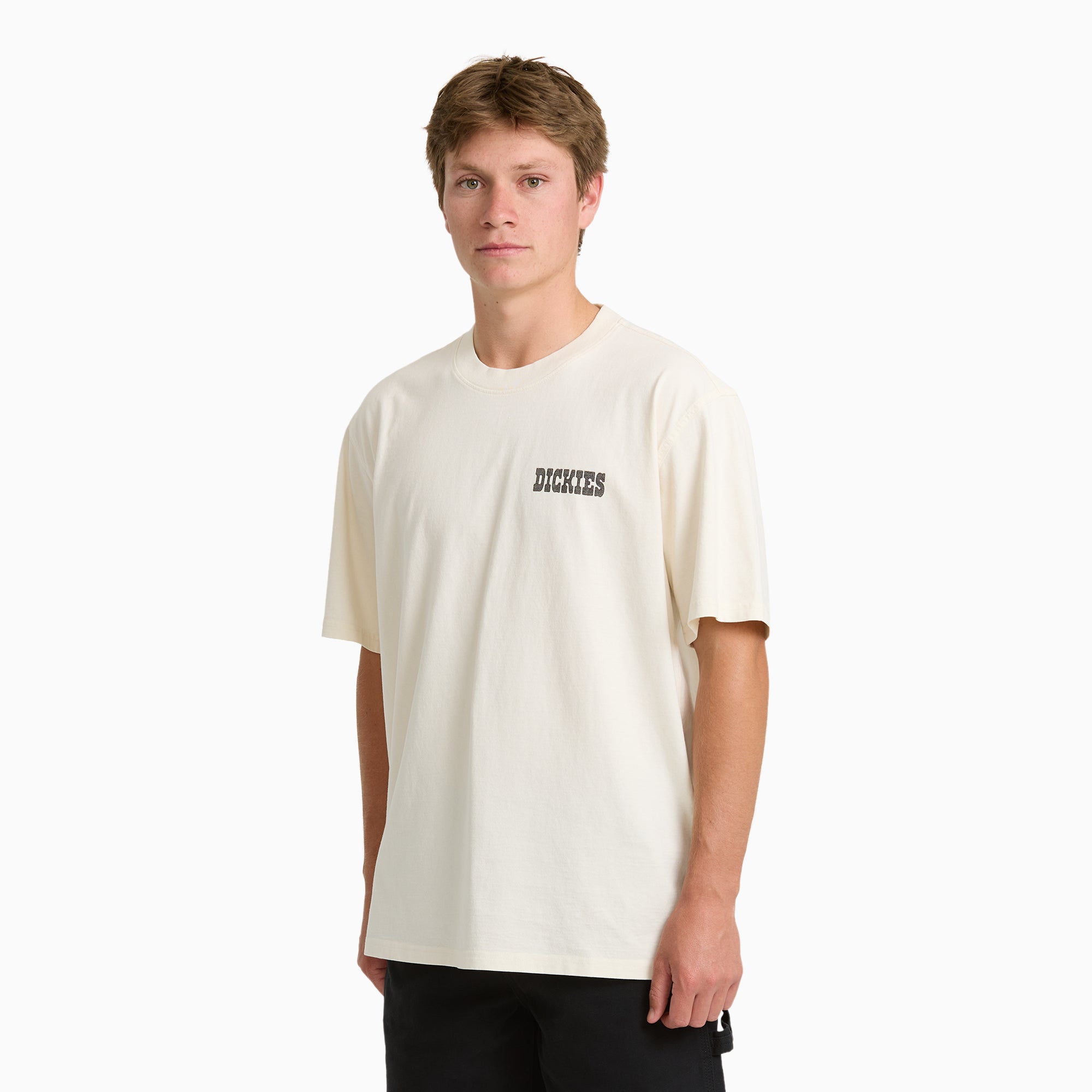 Buchtell Short Sleeve Graphic T-Shirt | Dickies US