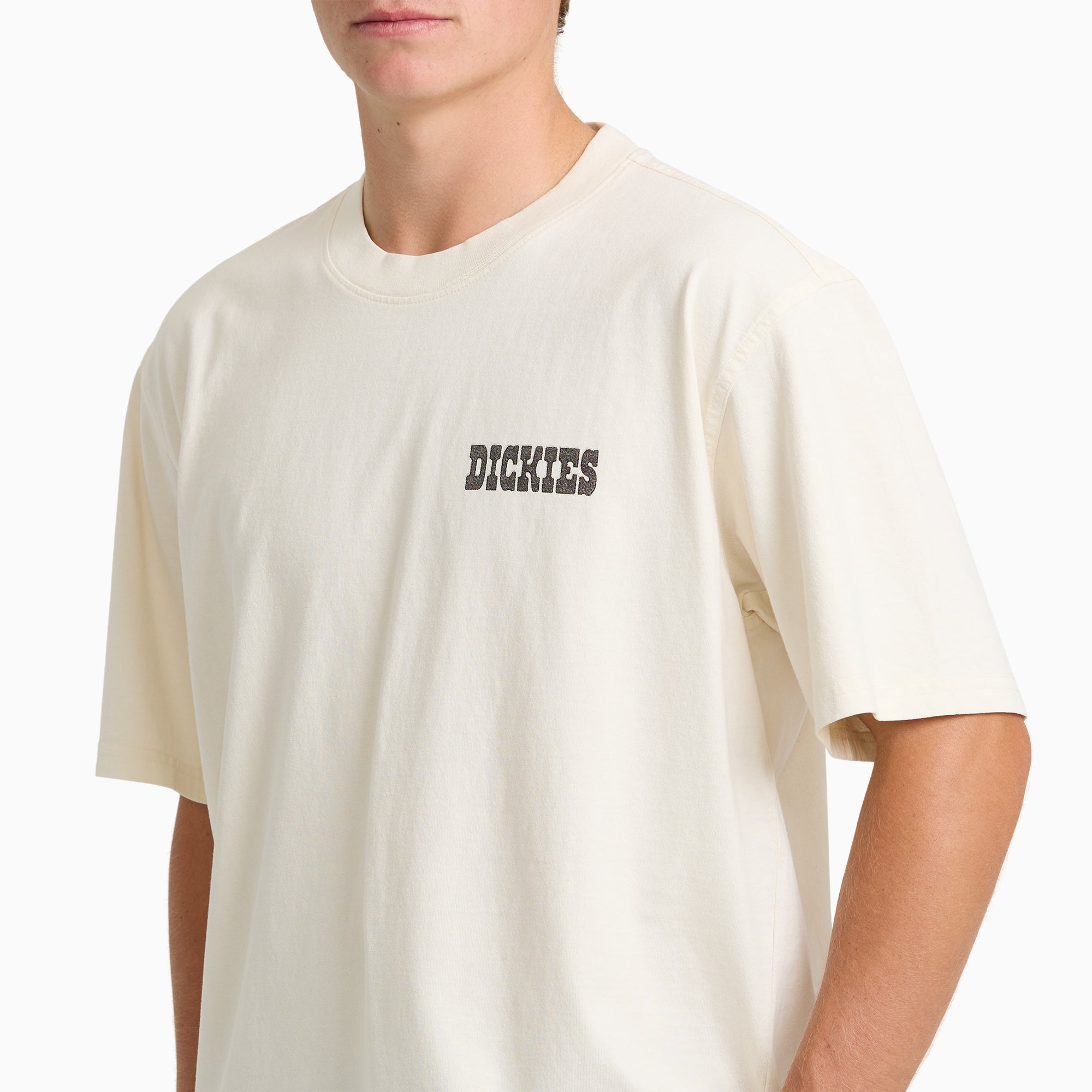 Buchtell Short Sleeve Graphic T-Shirt | Dickies US