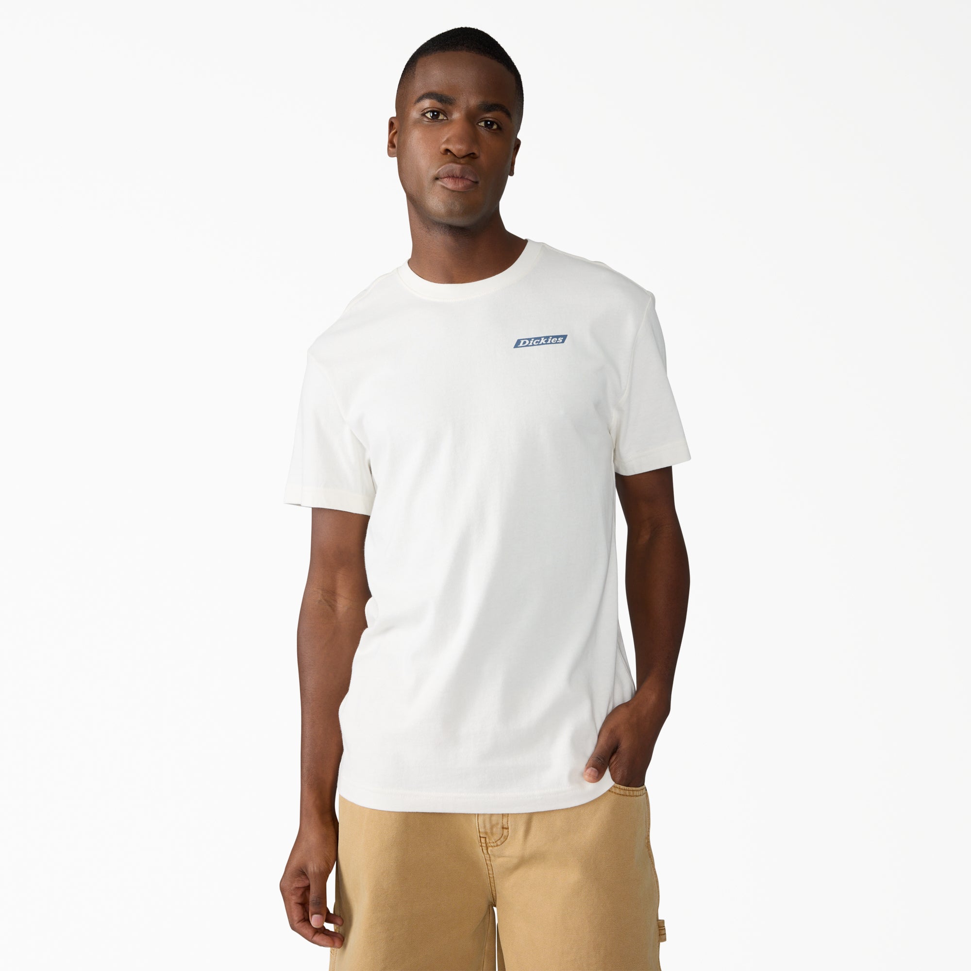 Americana Logo Fill Graphic T-Shirt | Dickies US