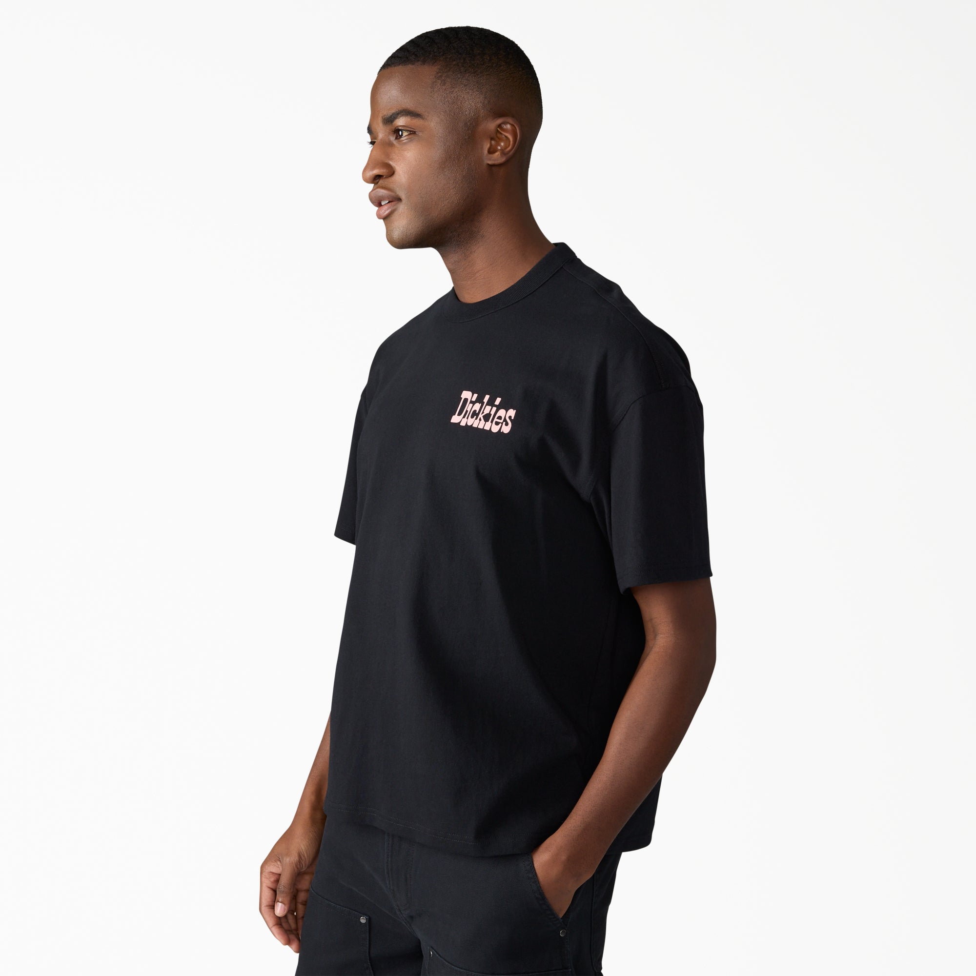 Polk Short Sleeve Graphic T-Shirt | Dickies US