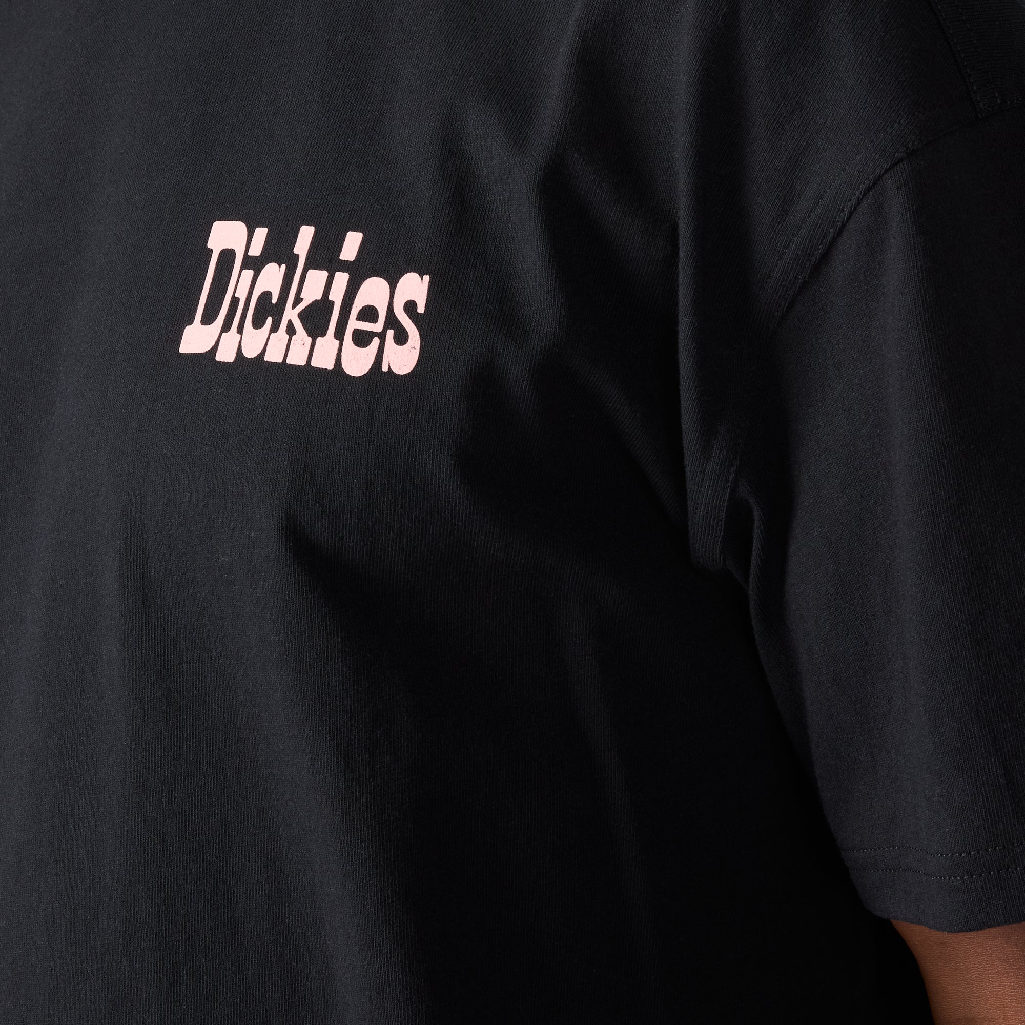 Polk Short Sleeve Graphic T-Shirt | Dickies US