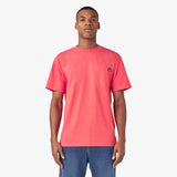 DKWS450HFCH-FR