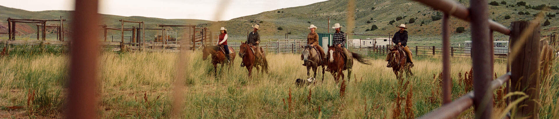 Farmers on horseback