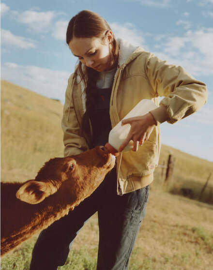 Women feeding baby calf with bottle