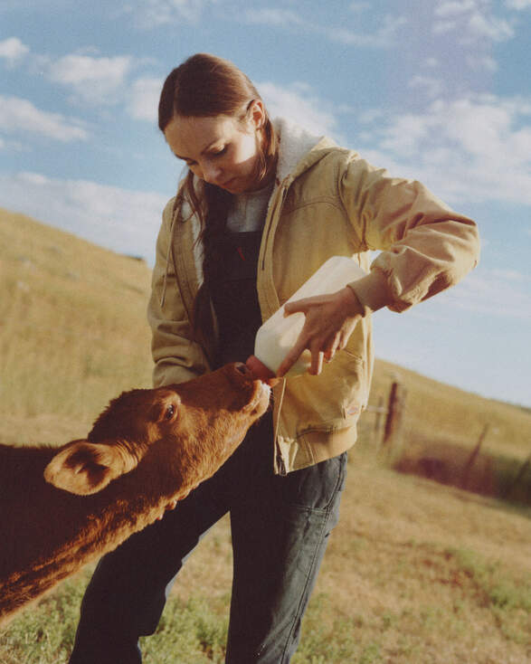Woman feeding a baby cow in a ranch