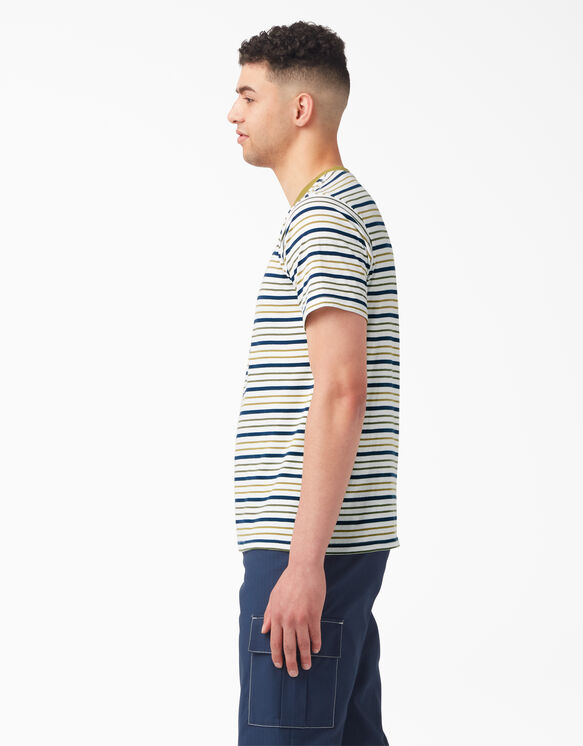 Dickies Skateboarding Striped T-Shirt - White/Moss Stripe &#40;WES&#41;