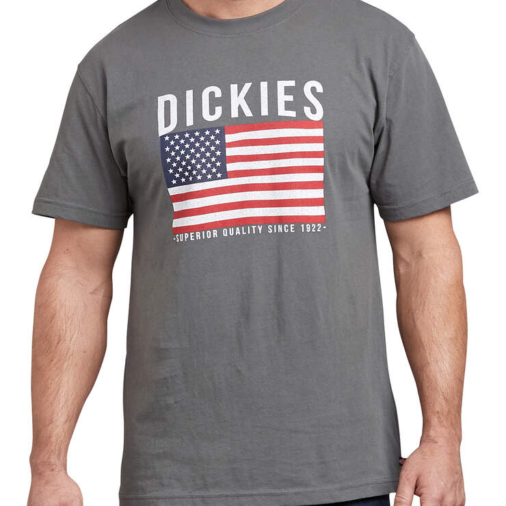 American Flag Graphic T-Shirt - Stone Gray (SNG) image number 1