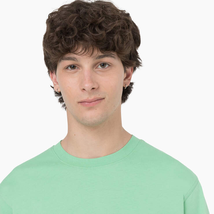 Baker City Short Sleeve T-Shirt - Apple Mint (AR2) image number 4