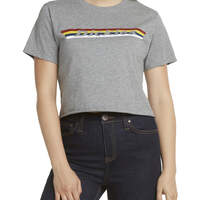 Dickies Girl Juniors' Vintage Rainbow Striped Cropped T-Shirt - Heather Gray (HG)