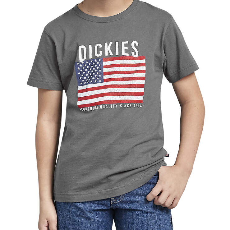 Kids' Dickies American Flag Graphic T-Shirt - Stone Gray (SNG) image number 1