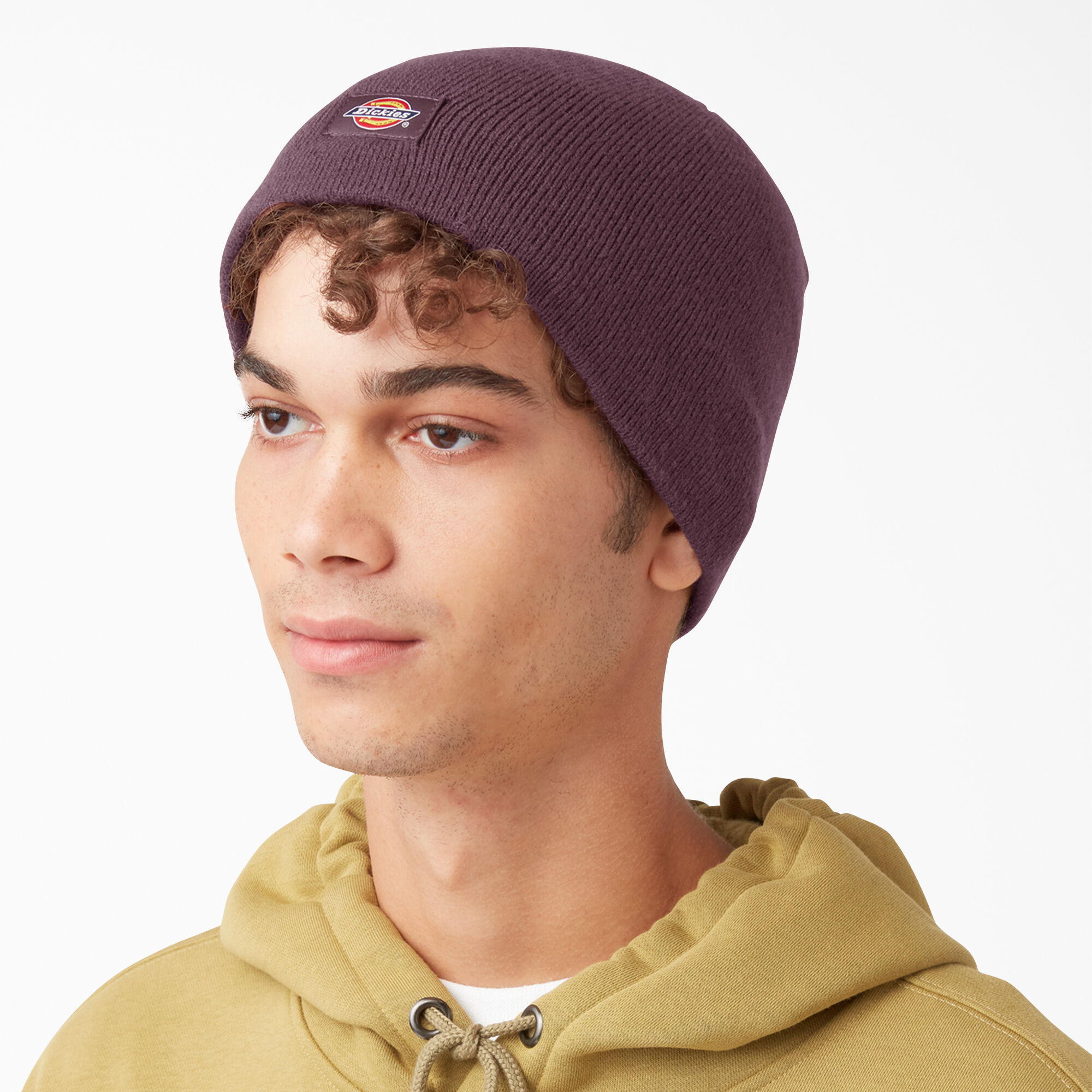 Low Profile Skull Beanie Dickies US