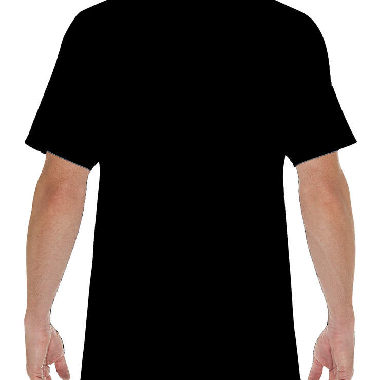 Dickies Logo Graphic Short Sleeve T-Shirt - Black (BK) image number 2