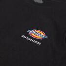 Dickies Skateboarding Regular Fit Chest Logo T-Shirt - Black &#40;KBK&#41;
