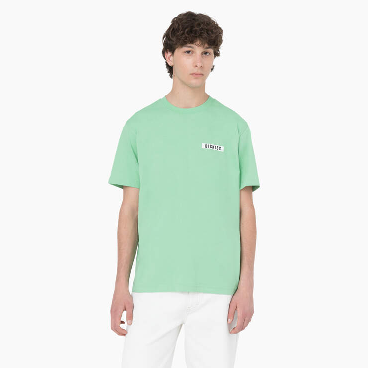 Baker City Short Sleeve T-Shirt - Apple Mint (AR2) image number 2