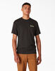 Dickies Skateboarding Split Graphic T-Shirt - Black &#40;BK&#41;