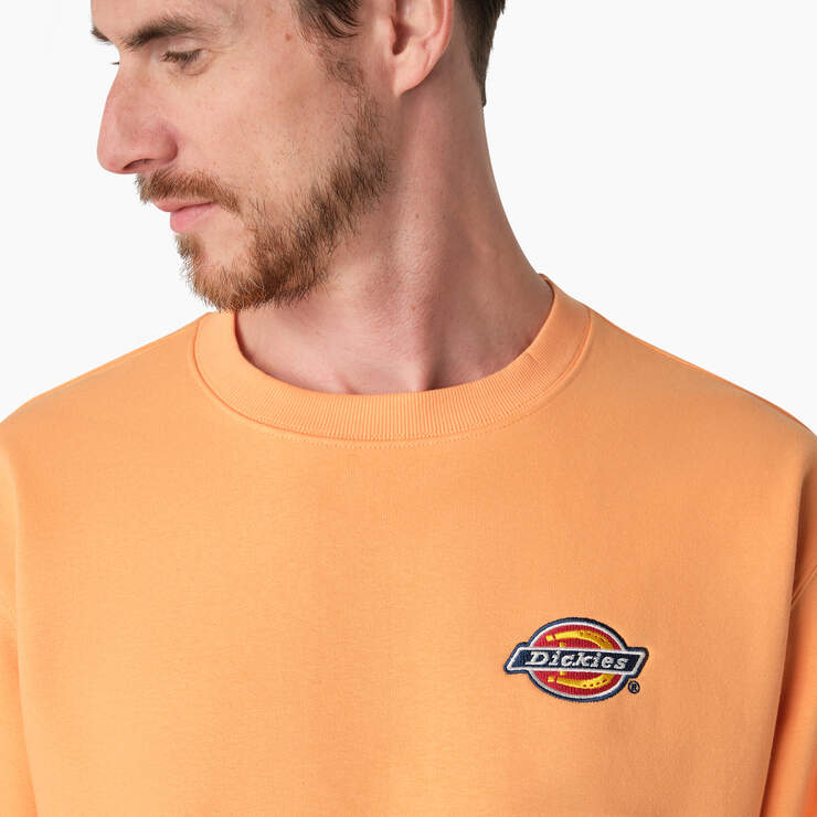 Fleece Embroidered Chest Logo Sweatshirt - Papaya Smoothie (MO2) image number 5