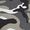 Gray Camo (GEC)