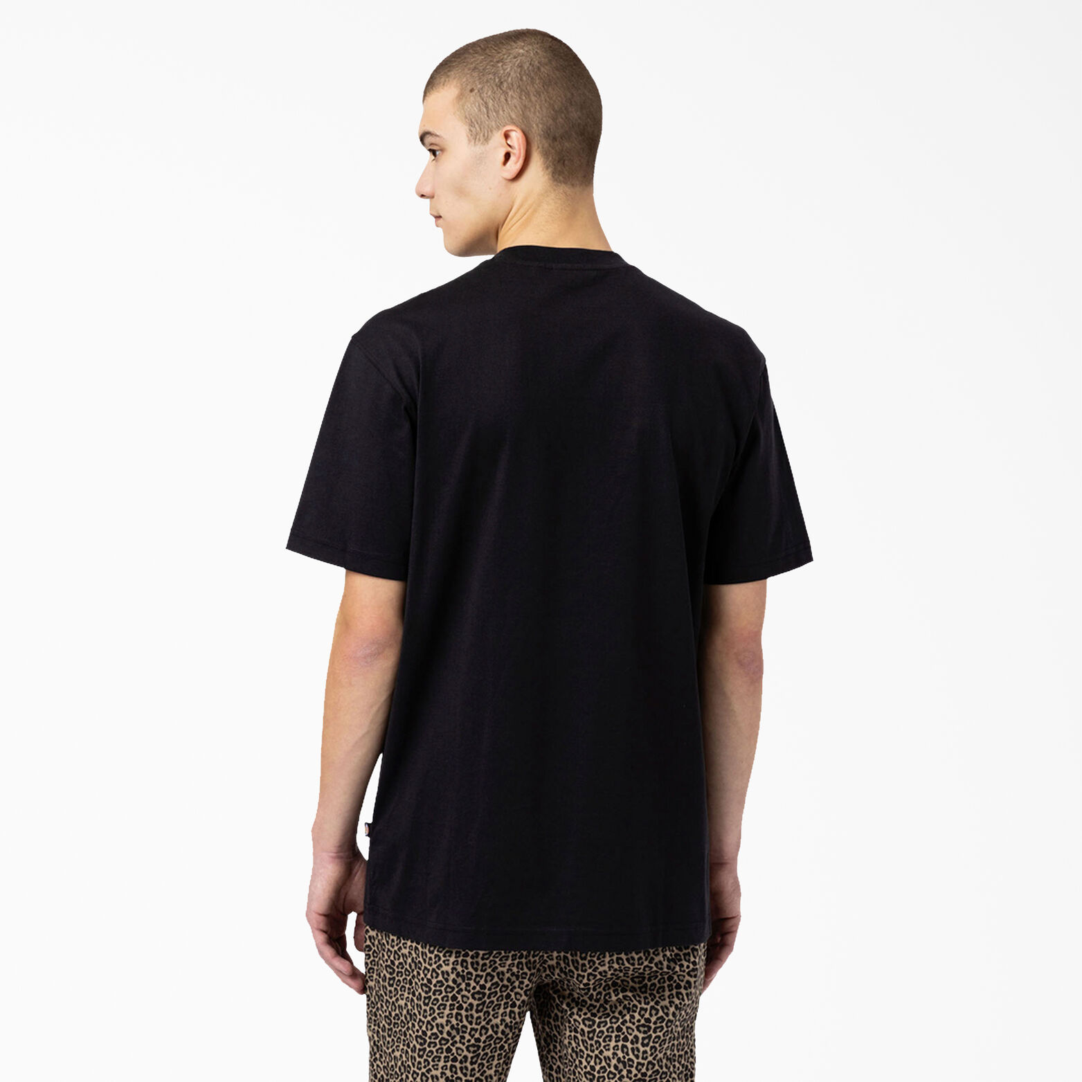 Dickies Skateboarding Mount Vista T-Shirt Dickies US