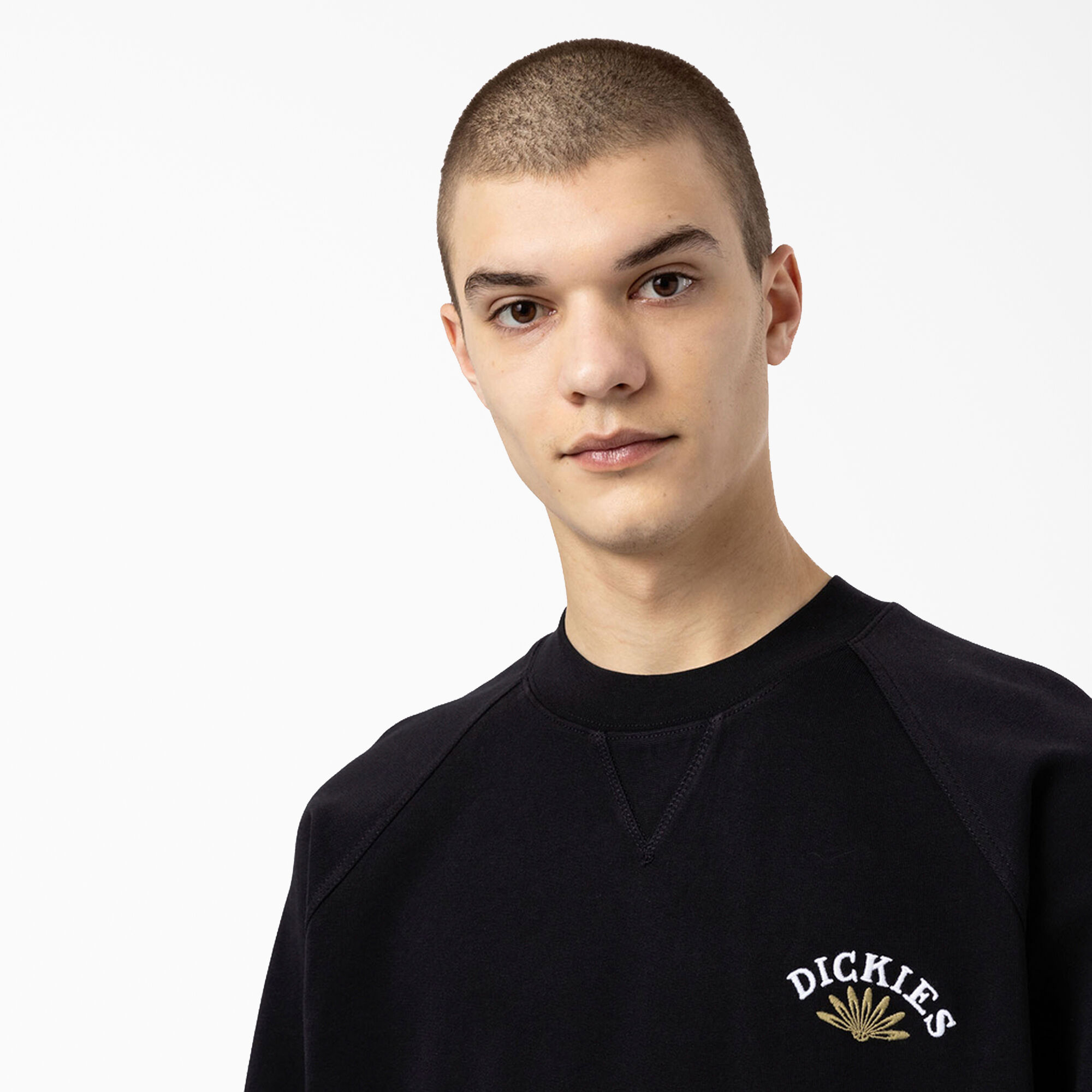 Crew neck hotsell dickies