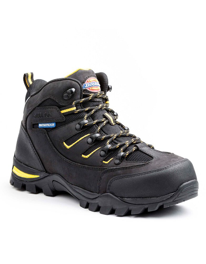 dw ladies trainers
