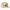 Dickies Skateboarding Mid Pro Cap - Desert Sand Camo &#40;DNC&#41;