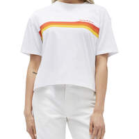 Dickies Girl Juniors' Tomboy Rainbow Chest Striped Short Sleeve T-Shirt - White (WHT)