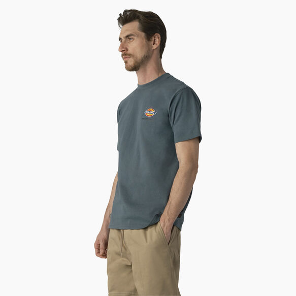 Dickies Skateboarding Regular Fit Chest Logo T-Shirt - Lincoln Green &#40;LN&#41;