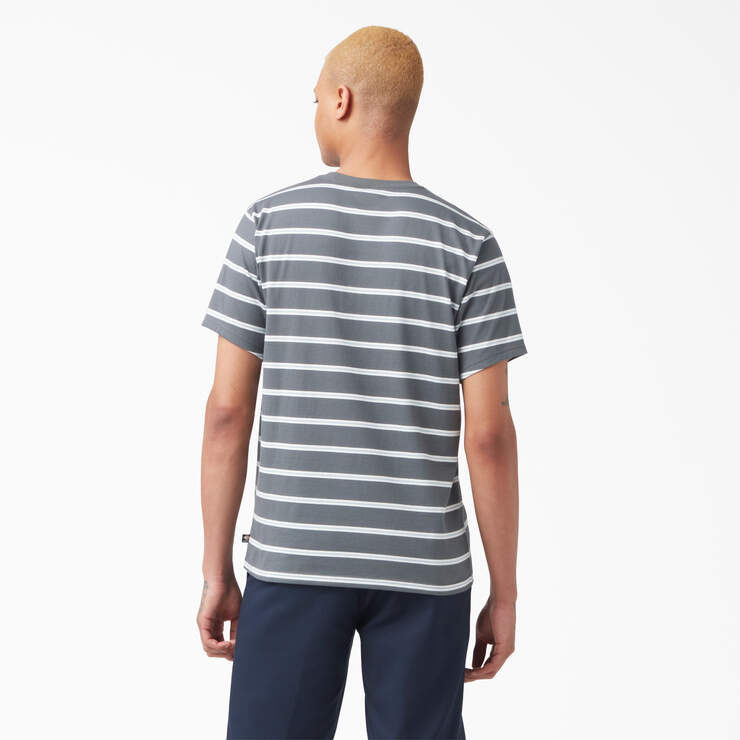 Dickies Skateboarding Striped T-Shirt - Charcoal Mini Stripe (CSM) image number 2
