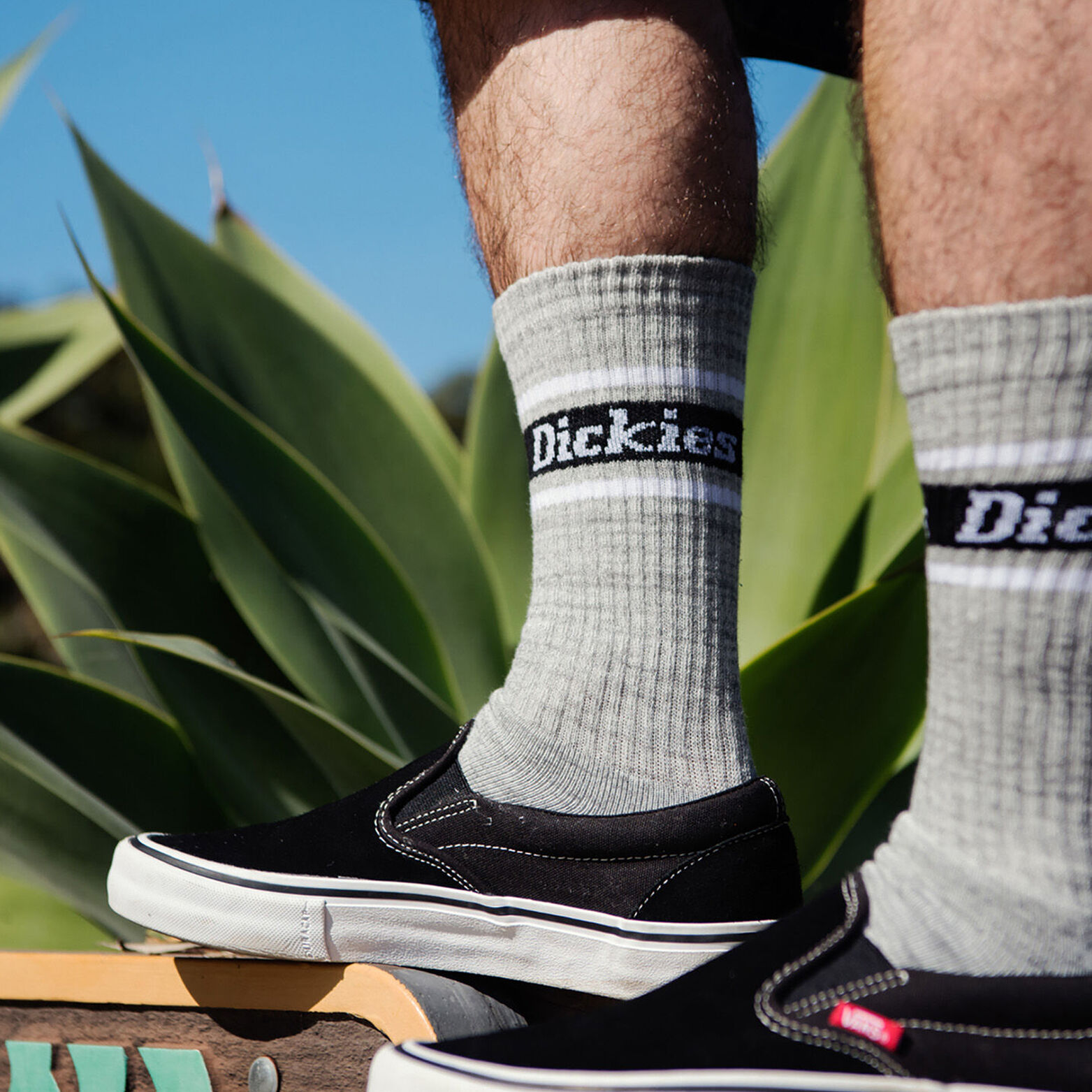 Rugby Stripe Logo Crew Socks, 4-Pack, Size 6-12 - Dickies US, Gray
