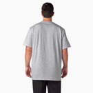 Short Sleeve Heavyweight T-Shirt - Ash Gray &#40;AG&#41;
