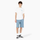 Dickies Skateboarding Wingville Shorts, 11&quot; - Light Denim &#40;LTD&#41;