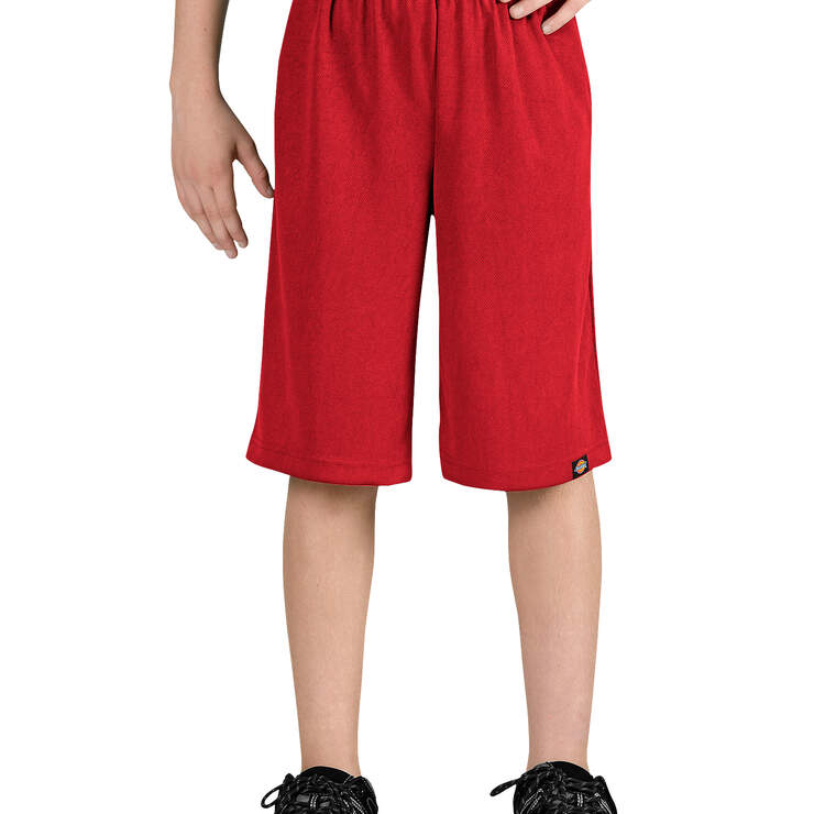Boys' Mesh Shorts, 8-20 - English Red (ER) image number 1