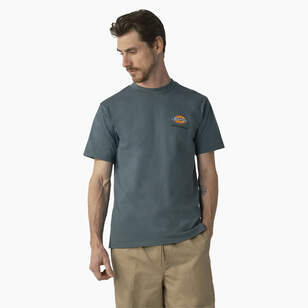 Dickies Skateboarding Regular Fit Chest Logo T-Shirt