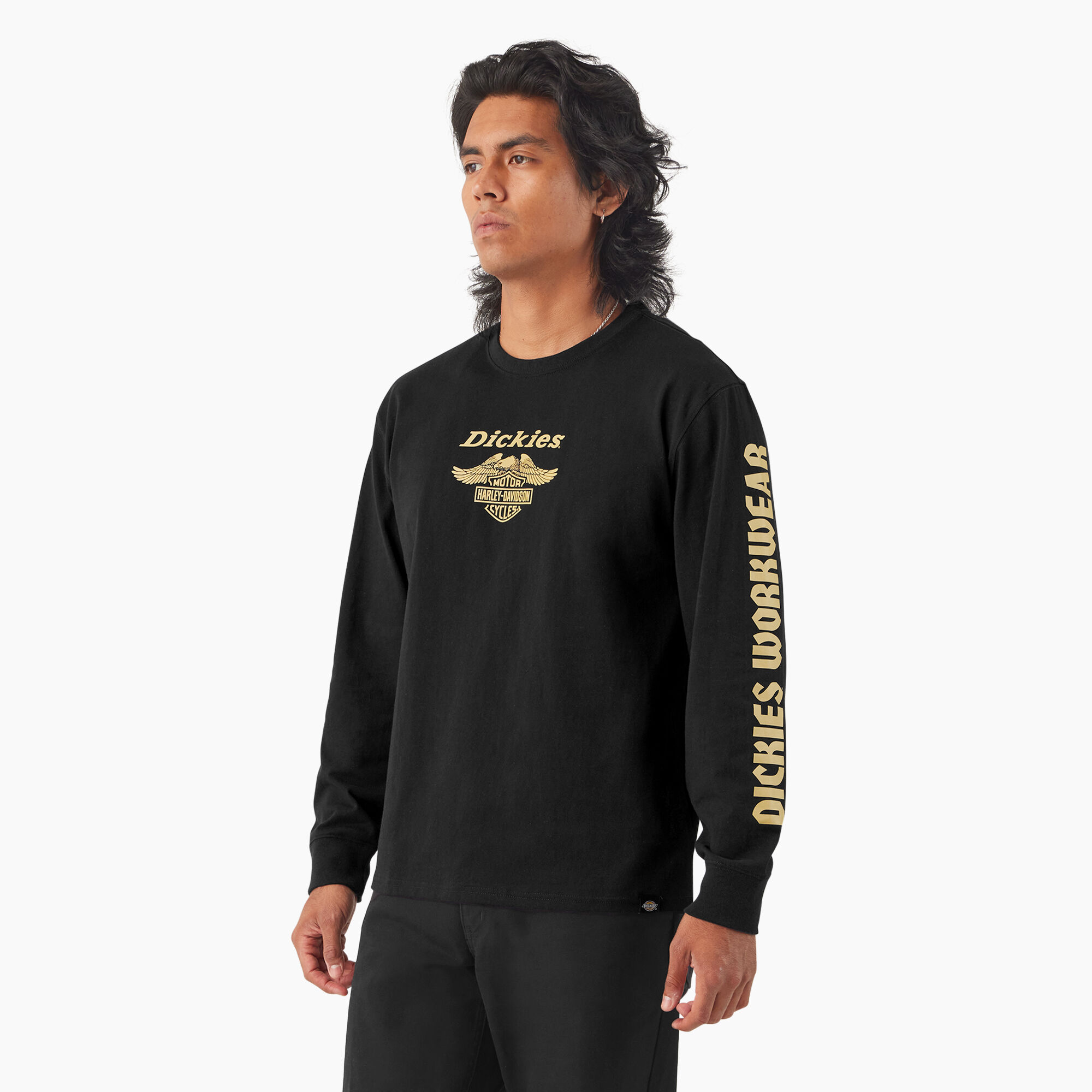 Harley Davidson×Dickies 人気 イーグル グラフィック Tシャツ Dickies x Harley-Davidson Heavyweight Flaming Eagle Tee