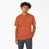 Short Sleeve Relaxed Fit Graphic T-shirt - Auburn (AN1)