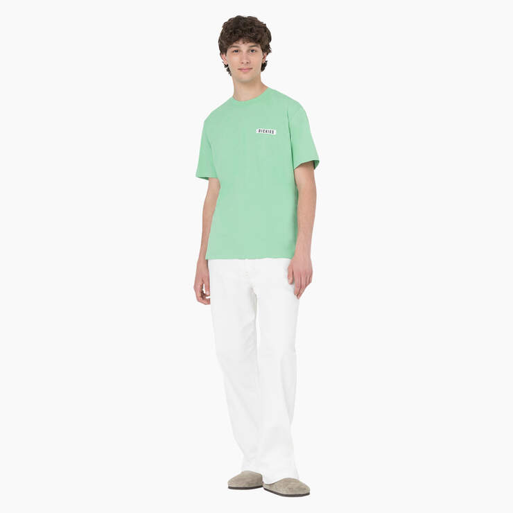 Baker City Short Sleeve T-Shirt - Apple Mint (AR2) image number 3