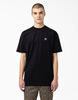 Dickies Skateboarding Mount Vista T-Shirt - Black &#40;BKX&#41;