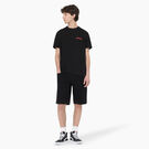 Dickies Skateboarding Wingville Shorts, 11&quot; - Black Denim &#40;L9D&#41;