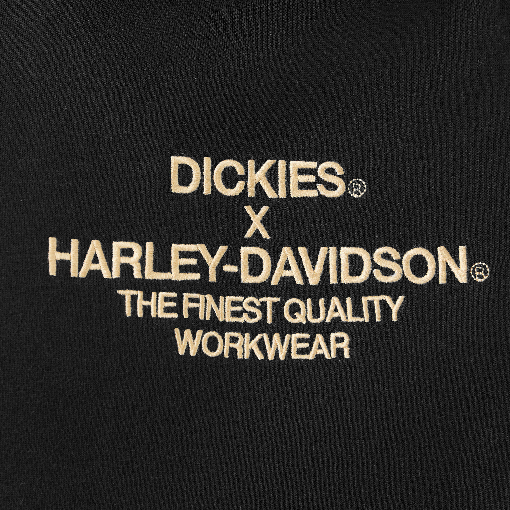 Dickies x Harley-Davidson Eagle Sleeve Hoodie - Dickies US