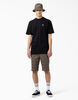 Dickies Skateboarding Mount Vista T-Shirt - Black &#40;BKX&#41;