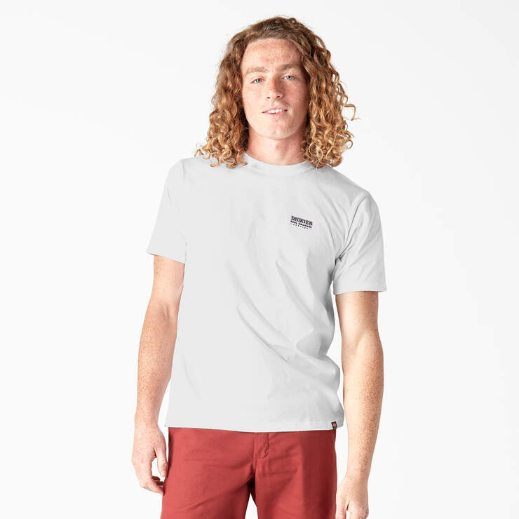 Dickies Skateboarding Pool Drainage Graphic T-Shirt - White (WH) image number 2