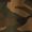 Rinsed Brown/Black Camo (RBBC)