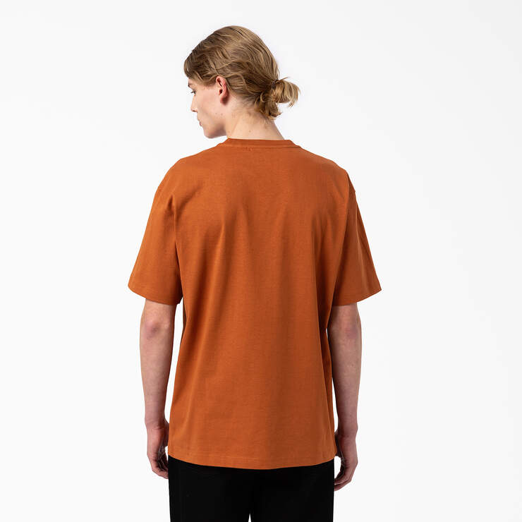 Union Springs Short Sleeve T-Shirt - Gingerbread Brown (IE) image number 2
