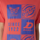 Women&#39;s Graphic Band T-Shirt - Bittersweet &#40;BW2&#41;