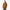 Rigid Duck Hooded Jacket - Brown Duck &#40;BD&#41;
